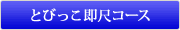 �Ƃт������ڃR�[�X