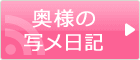 ���l�̎ʃ����L