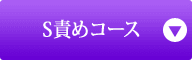 S�ӂ߃R�[�X