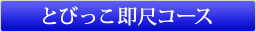 �Ƃт������ڃR�[�X